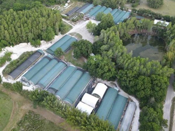 Cahaba Clubs Herbal Outpost Aerial View