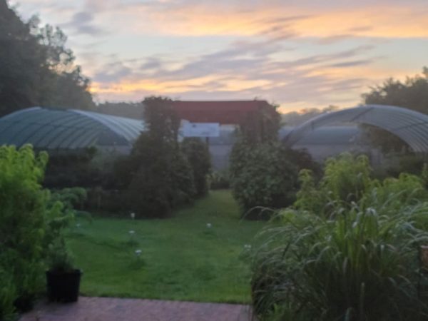 Cahaba Clubs Herbal Outpost - Trellis and Greenhouses at Dusk