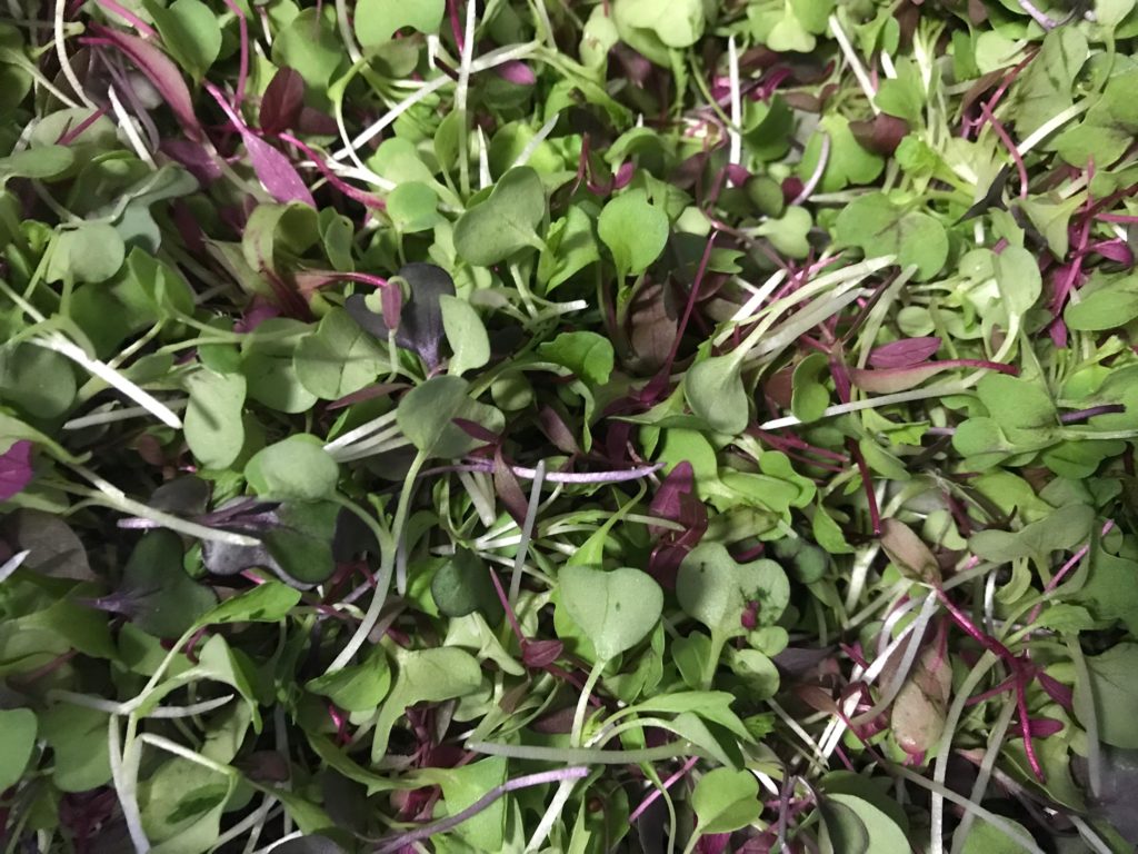 Cahaba Clubs Herbal Outpost